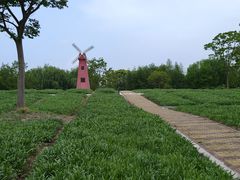 -同里国家湿地公园