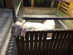 -上海大自然野生昆虫馆(东方明珠·爬宠昆虫探索中心)