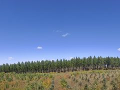 -塞罕坝国家级自然保护区