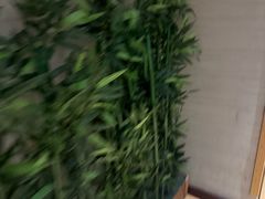 -上鸿汤泉•易营+