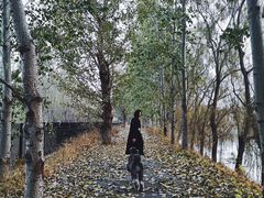 -东郊湿地公园