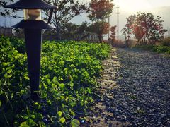 -田园东方蜜桃村的田野营地