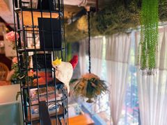 -范设计花园餐酒咖·中西餐·咖啡厅·酒馆