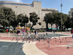 -加泰罗尼亚广场