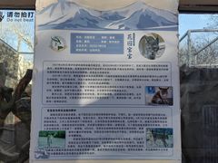 -青藏高原野生动物园