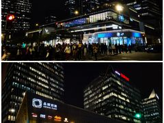 -东方体育中心(地铁站)