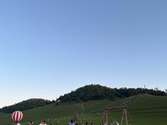 -关山草原