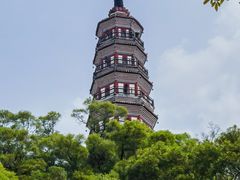-顺峰山公园