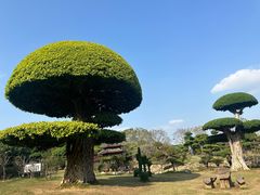 -南宁南湖公园