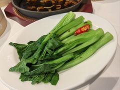 白灼菜心-稻香饭店(IFS国金中心店)