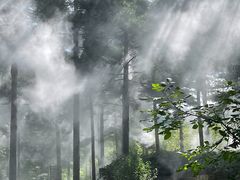 -洛阳白云山景区