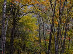 -叠溪松坪沟景区