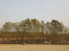 -东郊湿地公园