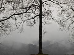 -石潭村