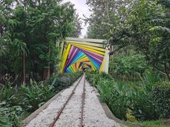 -合肥滨湖国家森林公园