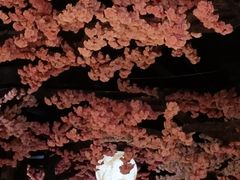 -蓝鲸湾汤泉(包河店)