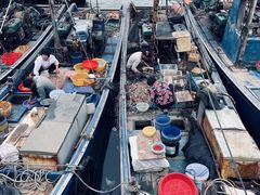 -南澳岛打卡果汁冰公司