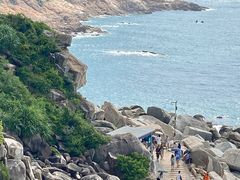 -广东惠东海龟国家级自然保护区