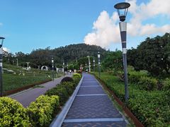 -立新湖公园