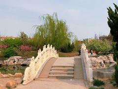 -绿岛公园(滨海新区)