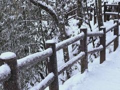 -龙苍沟森林公园