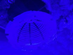 -北京盘古七星酒店