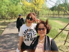 -东郊湿地公园
