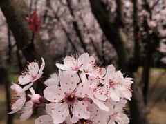 -贵阳市花溪国家城市湿地公园