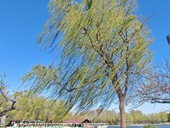 -石家庄市植物园