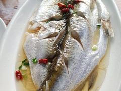 -太湖好灶头土菜馆(石公路店)