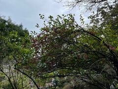 -武当山风景区