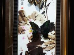 -蝴蝶泉公园