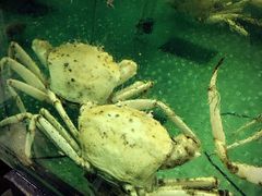 -新海山海鲜餐馆