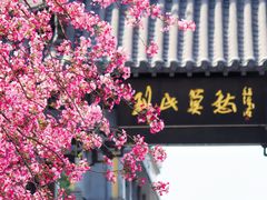 -莫愁湖公园