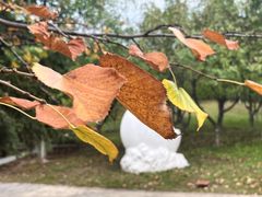 -长春世界雕塑园