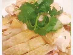 -振鼎鸡(华阴路店)