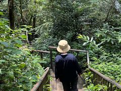 -七仙岭温泉国家森林公园