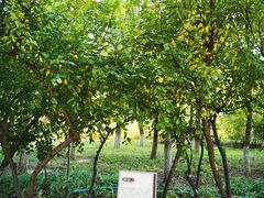 -大兴滨河森林公园