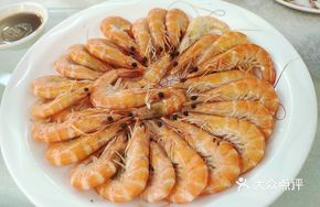 Fresh Sand Shrimp