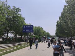 -武清南湖绿博园