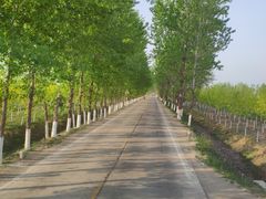 -嵖岈山风景区