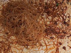 -真定郝家排骨(正定县总店)