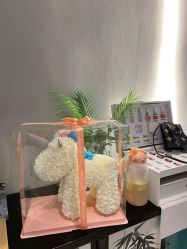 -阅年轻·AI家庭健康体质调理