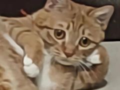 -炭窑水浒烤肉(汉阳鹦鹉巷子店)