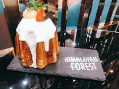 -喜马拉雅森HIMALAYAN FOREST