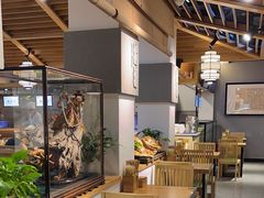 -龙抄手食府(浣花北路店)