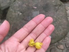 -白鹿洞书院