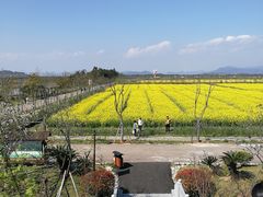 -漩门湾国家湿地公园