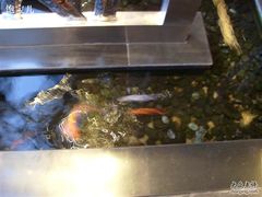 -唐廊烤鸭店(工体店)