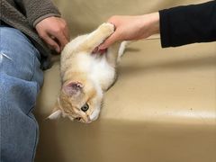 -宠颐生中康贝怡动物医院